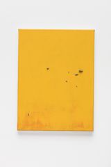 untitled by Koo Jeong A contemporary artwork mixed media