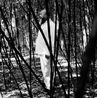 Ai Weiwei bamboo Beijing by Anton Corbijn contemporary artwork Painting