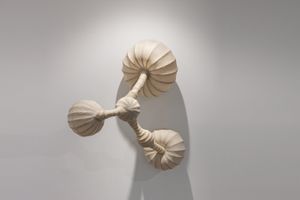 Angelo Venosa