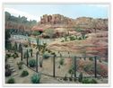 Canyon Anaheim by Thomas Struth contemporary artwork Photography