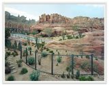 Canyon Anaheim by Thomas Struth contemporary artwork photography