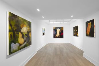 Contemporary art exhibition Elise Ansel Some of its Parts at Cadogan Gallery London United Kingdom