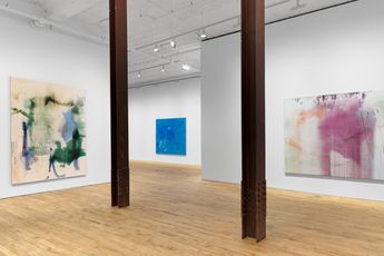 Contemporary art exhibition Emma McIntyre This body holds  swamp stuff at David Zwirner New York 52 Walker United States