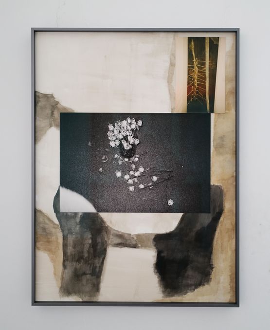 Atlas of Holding Together I by Biraaj Dodiya contemporary artwork Works on Paper