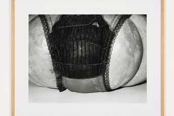 Jef Geys contemporary artist