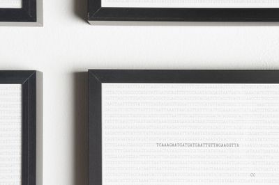 Alicja Kwade Releases Personal DNA as a Series of NFTs