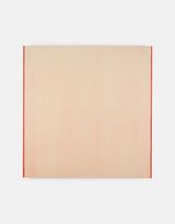 Untitled Cadmium Red Light by Callum Innes contemporary artwork painting