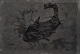 Hundred Layers of Ink For Bada 14 by Yang Jiechang contemporary artwork painting