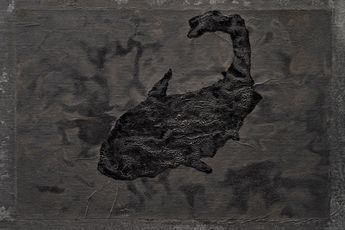 Yang Jiechang contemporary artist