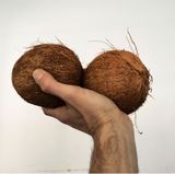 Coconuts by Adriano Costa contemporary artwork photography