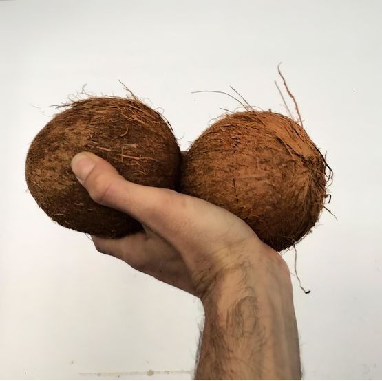 Coconuts by Adriano Costa contemporary artwork Photography