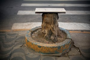 Cao Guimaraes