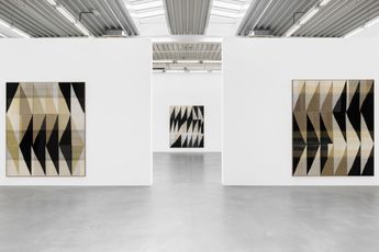 Contemporary art exhibition Brent Wadden Best Before at Almine Rech Brussels Belgium