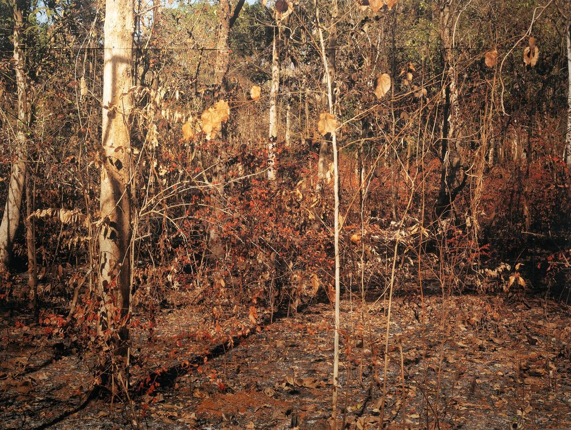 TENZING DAKPA