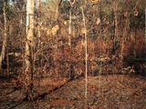 Mornings at Naikavaddo by Tenzing Dakpa contemporary artwork photography print