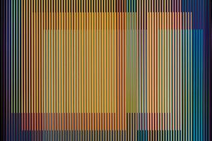 Carlos Cruz-Diez