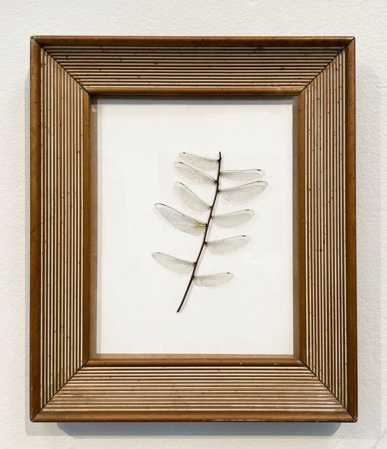 Machines and gods dragonfly by Larry Munoz contemporary artwork Sculpture