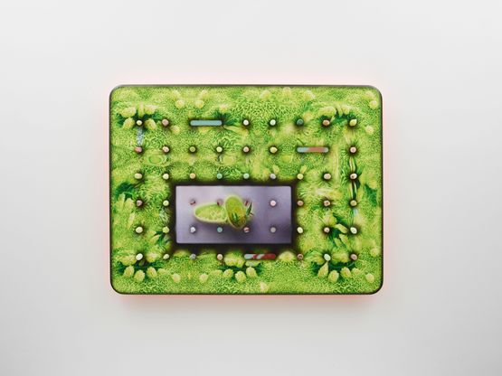 stomata-skin by Tishan Hsu contemporary artwork Painting