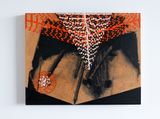 Nails by Radhika Khimji contemporary artwork painting