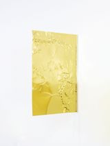 Extrusion Fin Brass by Orson Heidrich contemporary artwork sculpture
