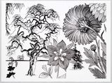 Torenia by Paul Morrison contemporary artwork print