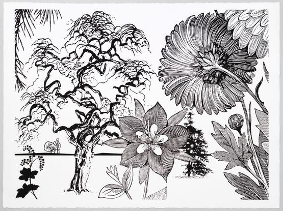 Torenia by Paul Morrison contemporary artwork Print