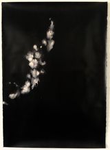 Against the sun XV by Alexandra Karakashian contemporary artwork works on paper