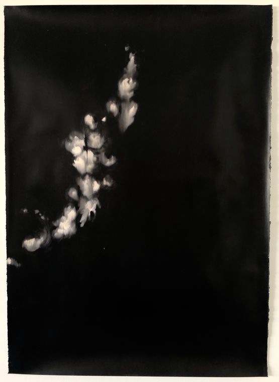 Against the sun XV by Alexandra Karakashian contemporary artwork Works on Paper