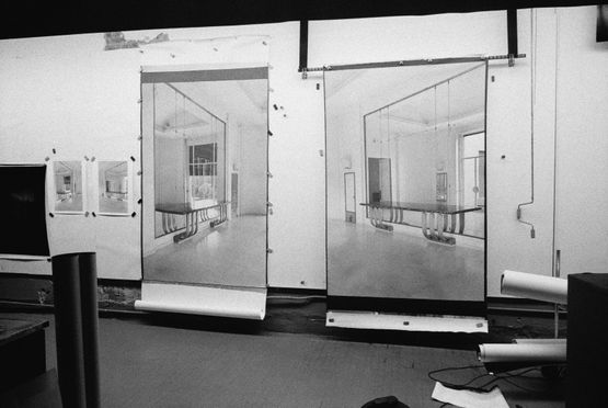 Lab Mirrors by Mauro Restiffe contemporary artwork Photography