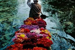 Steve Mccurry