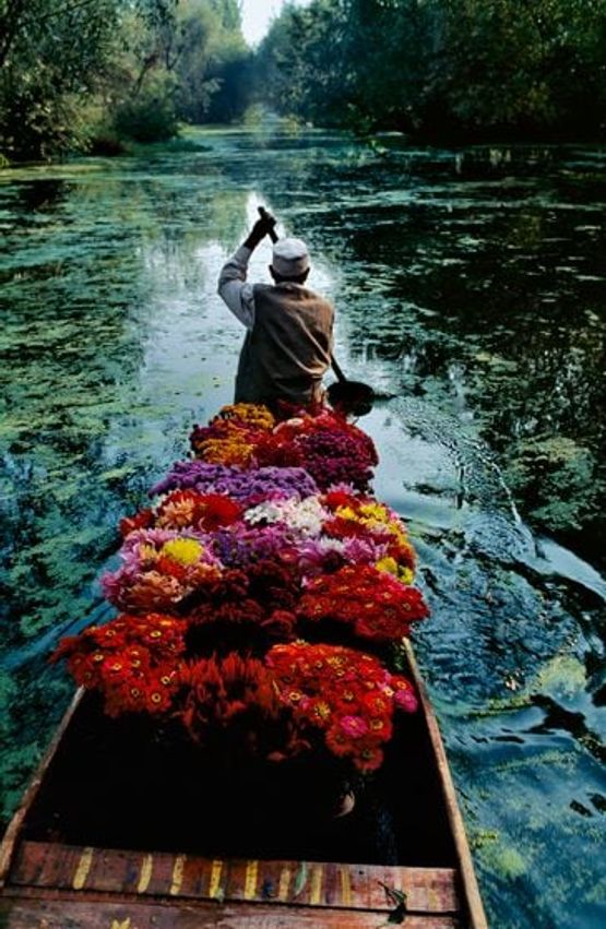 Kashmir Flower Seller by Steve Mccurry contemporary artwork Print