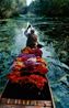 Kashmir Flower Seller by Steve Mccurry contemporary artwork Print