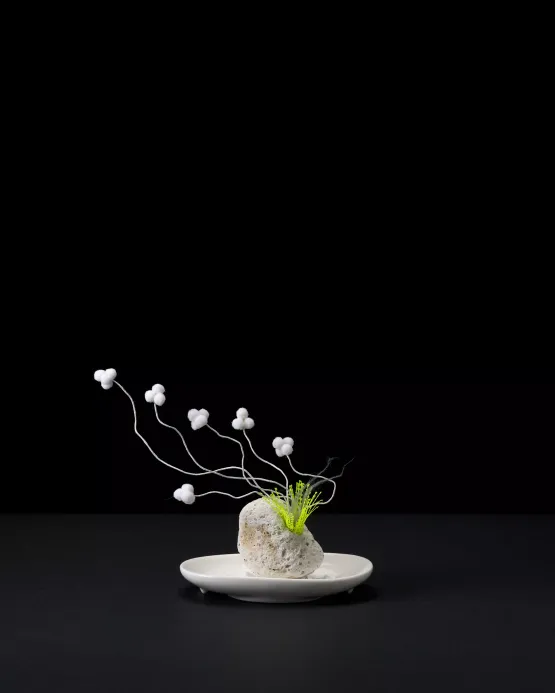 Plant 45 by Nina Katchadourian contemporary artwork Sculpture