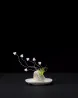 Plant 45 by Nina Katchadourian contemporary artwork Sculpture