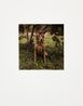 Tell by William Wegman contemporary artwork Photography