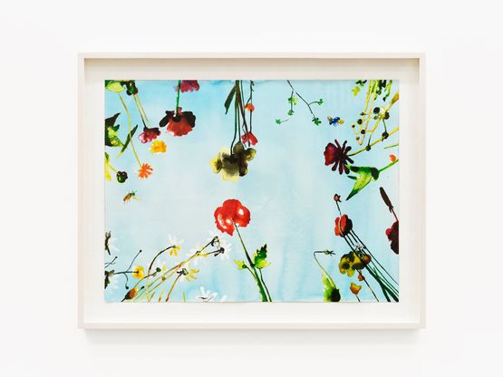 Flora by Alexis Rockman contemporary artwork Works on Paper