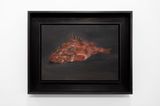 Acadian Red Fish by Christian Furr contemporary artwork painting