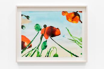 Alexis Rockman contemporary artist