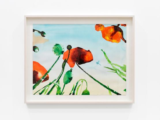 Large Poppies by Alexis Rockman contemporary artwork Works on Paper