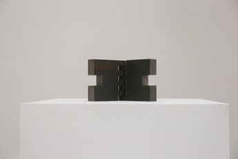 Shao Yi contemporary artist