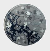 Autumn Pond by Hans Op De Beeck contemporary artwork mixed media