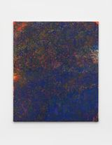 Phoenix FS01WOR-B-Y- by Liang Yuanwei contemporary artwork painting