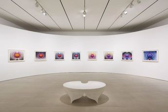 Contemporary art exhibition Loie Hollowell Dilation Stage at Pace Gallery 540 West 25th Street New York United States