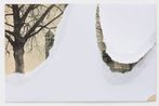 New Picturesque by Cyprien Gaillard contemporary artwork Works on Paper