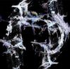 ENCODED LIFE NO.5-.10 by DaDa contemporary artwork Moving Image