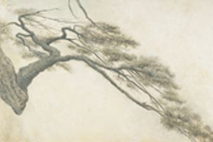 Liu Chuanhong