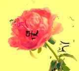 Grain Rain Series-Flower with Flying Text 6 by Hung Keung contemporary artwork moving image