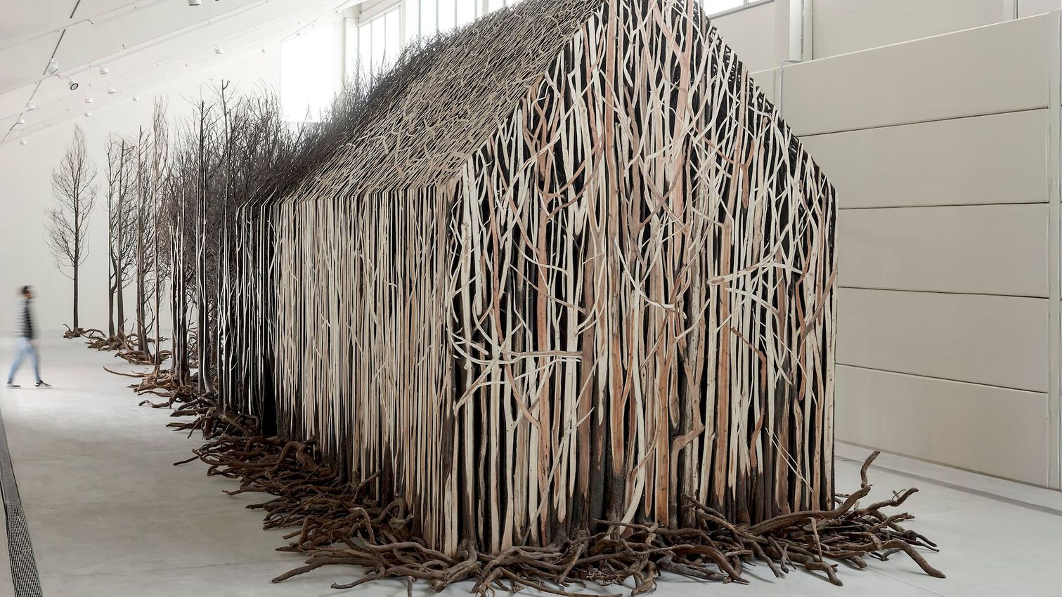 Doris Salcedo ドリス サルセド Contemporary 作品集 Amazon | Doris Salcedo | Salcedo, Doris, Vuong, Ocean