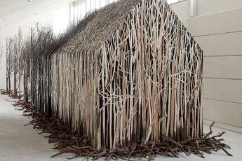 Doris Salcedo contemporary artist