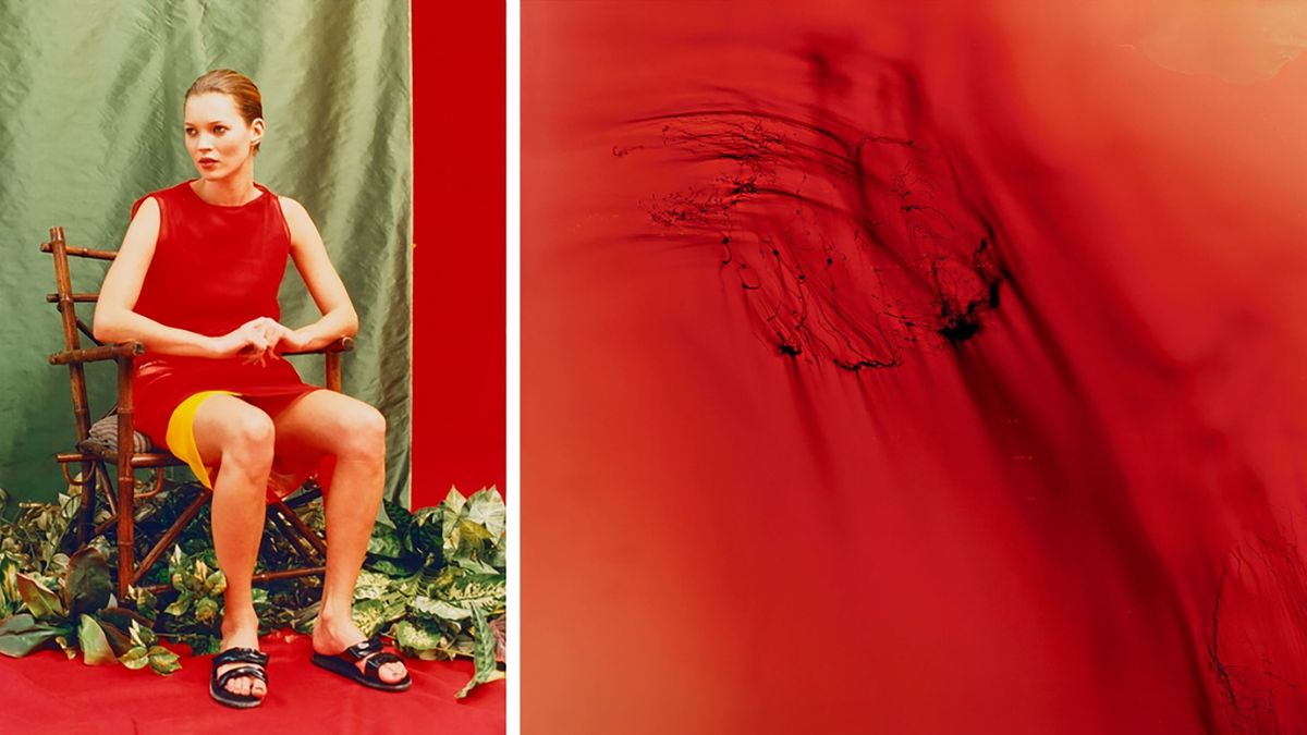 Rare Wolfgang Tillmans Photographs to Come to Market for First